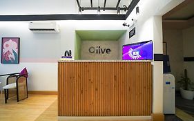 Olive Zip Golflinks By Embassy Group